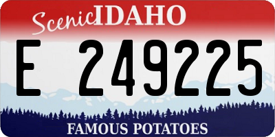 ID license plate E249225