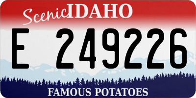 ID license plate E249226