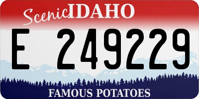 ID license plate E249229