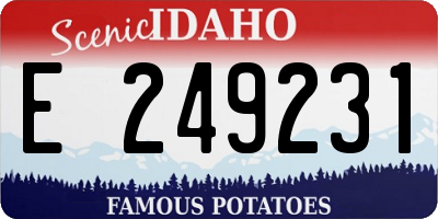 ID license plate E249231