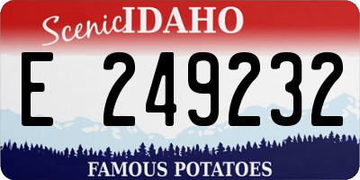 ID license plate E249232