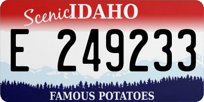 ID license plate E249233