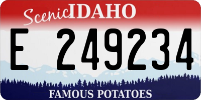 ID license plate E249234