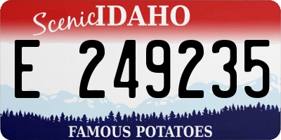 ID license plate E249235