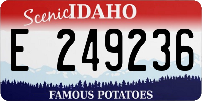 ID license plate E249236