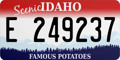 ID license plate E249237