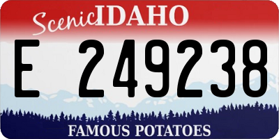 ID license plate E249238