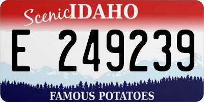 ID license plate E249239