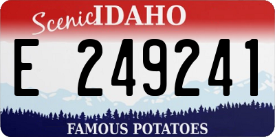 ID license plate E249241