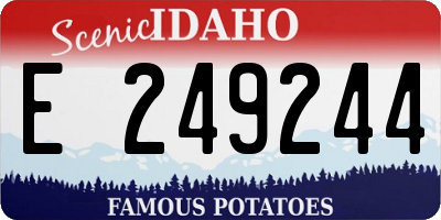 ID license plate E249244