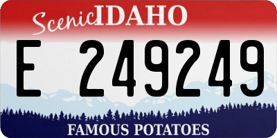 ID license plate E249249