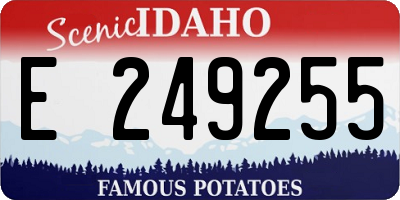 ID license plate E249255