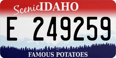 ID license plate E249259
