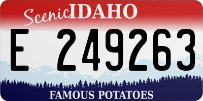 ID license plate E249263
