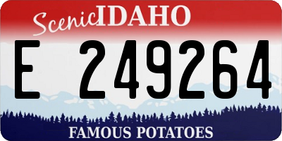 ID license plate E249264