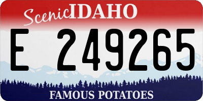 ID license plate E249265