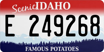 ID license plate E249268