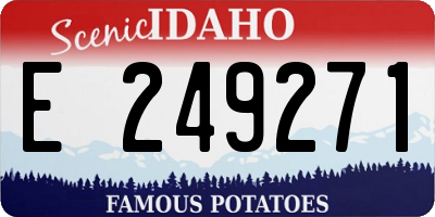 ID license plate E249271