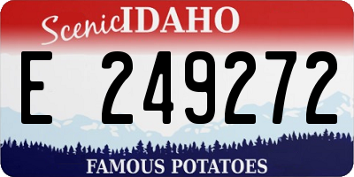 ID license plate E249272