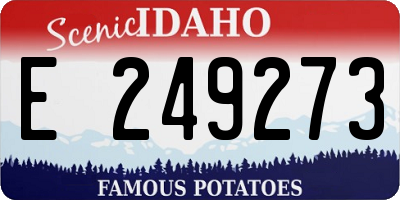 ID license plate E249273
