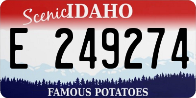 ID license plate E249274