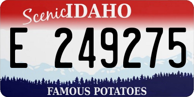 ID license plate E249275