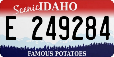 ID license plate E249284