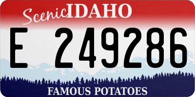 ID license plate E249286