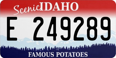 ID license plate E249289