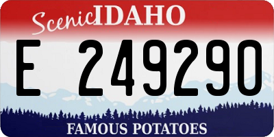 ID license plate E249290