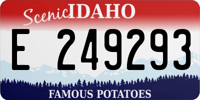 ID license plate E249293