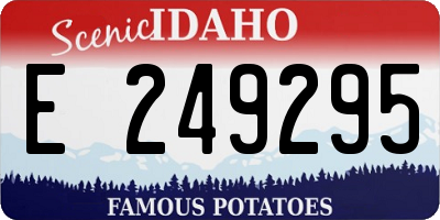 ID license plate E249295