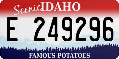 ID license plate E249296