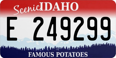 ID license plate E249299