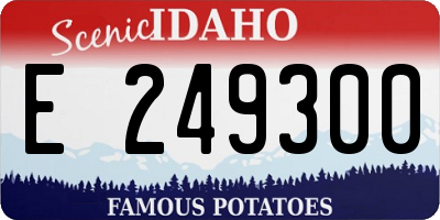 ID license plate E249300