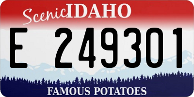 ID license plate E249301