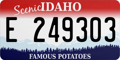 ID license plate E249303