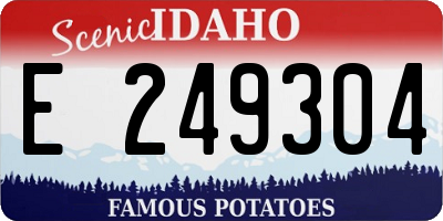 ID license plate E249304