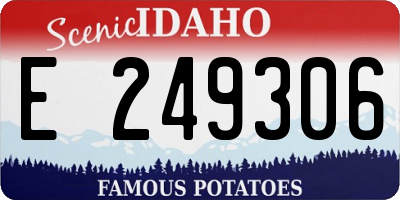 ID license plate E249306