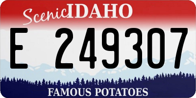 ID license plate E249307