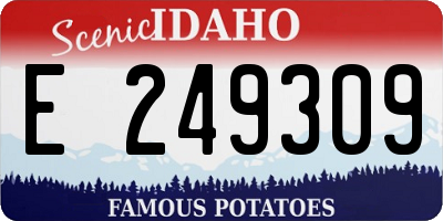 ID license plate E249309