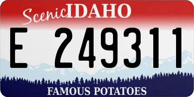 ID license plate E249311