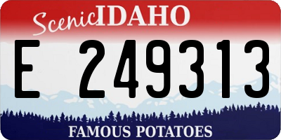 ID license plate E249313