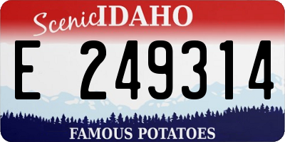 ID license plate E249314