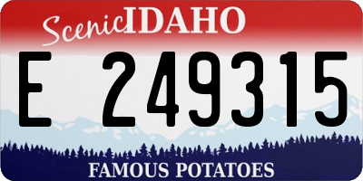 ID license plate E249315