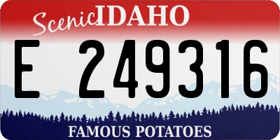 ID license plate E249316