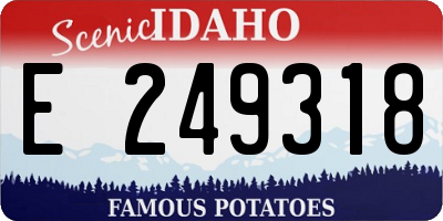 ID license plate E249318