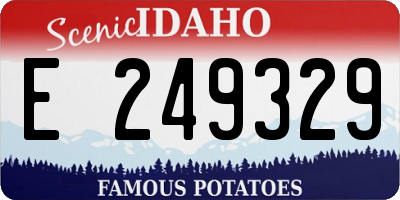 ID license plate E249329