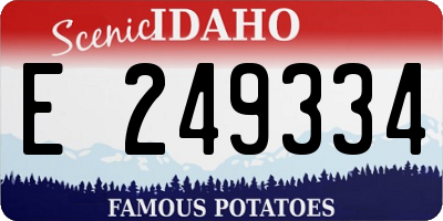 ID license plate E249334