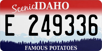 ID license plate E249336